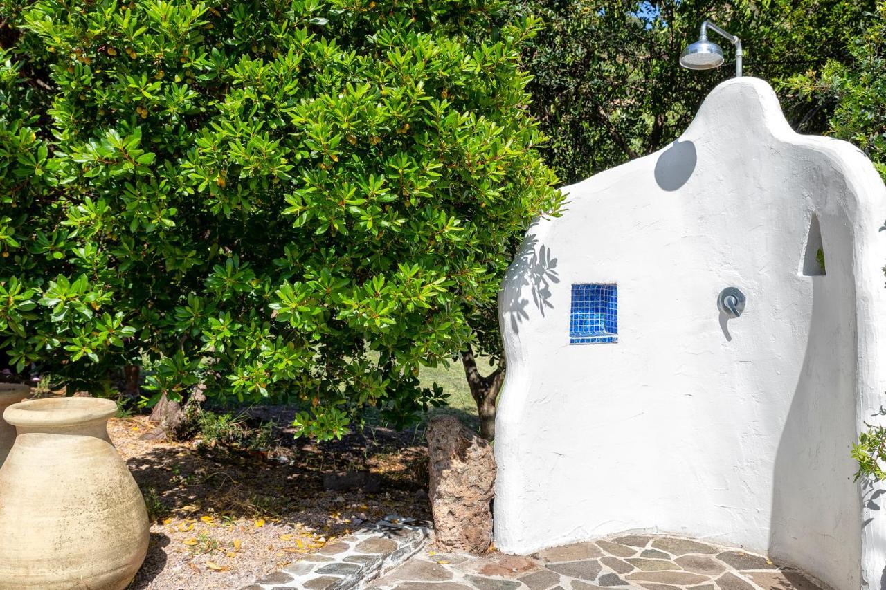 Апартаменты Sardinia Re - Casa Luisa With Pool Альгеро Экстерьер фото